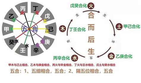 天干五合原理|天干合化的4种解释，天干五合怎么合出来的，天干关。